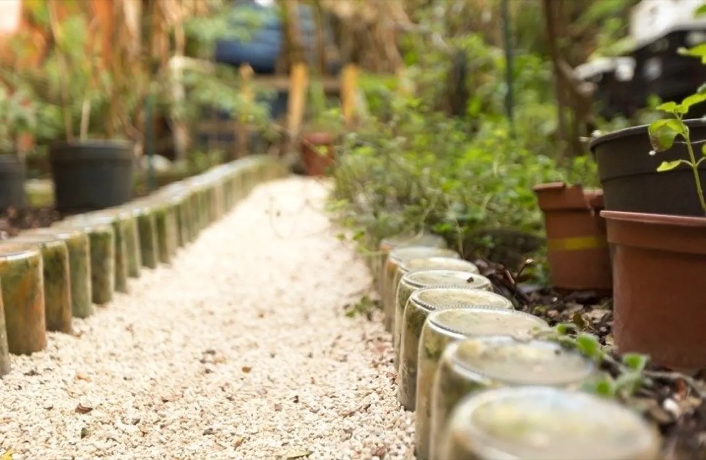 Caminho de pedrisco no jardim, entre canteiros e vasos da horta